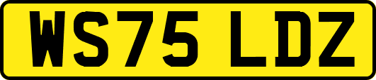 WS75LDZ