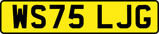WS75LJG