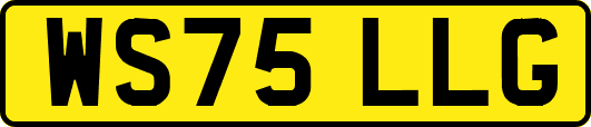WS75LLG