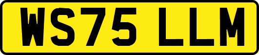WS75LLM