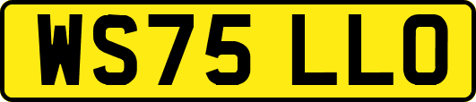 WS75LLO