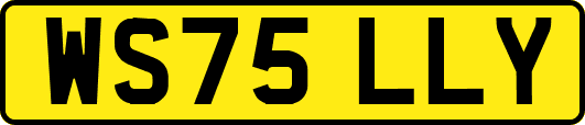 WS75LLY