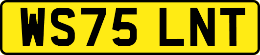 WS75LNT