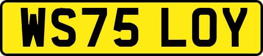 WS75LOY