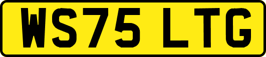 WS75LTG