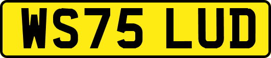 WS75LUD