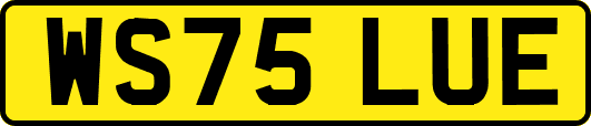 WS75LUE