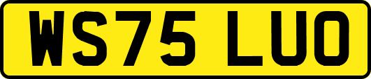 WS75LUO