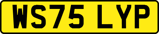 WS75LYP