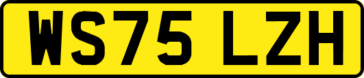 WS75LZH