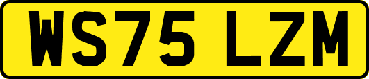 WS75LZM