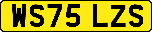 WS75LZS