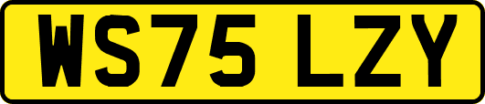 WS75LZY