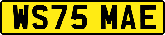 WS75MAE