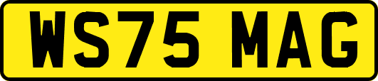 WS75MAG
