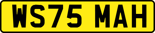 WS75MAH
