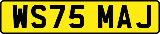 WS75MAJ
