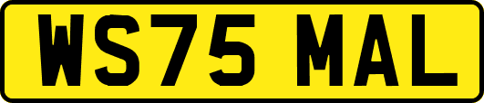 WS75MAL