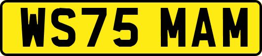 WS75MAM