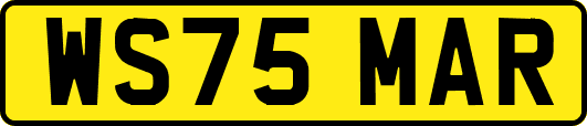 WS75MAR