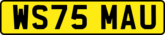 WS75MAU