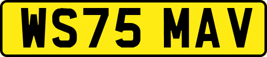 WS75MAV