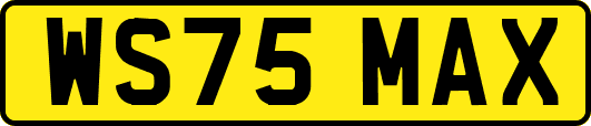 WS75MAX