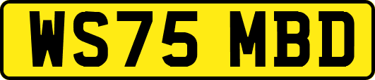 WS75MBD