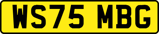 WS75MBG