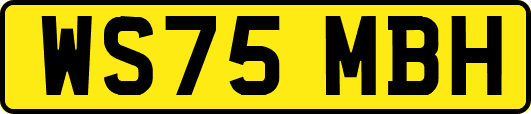 WS75MBH
