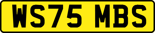 WS75MBS