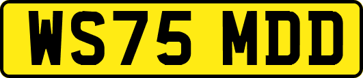 WS75MDD