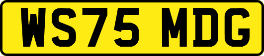 WS75MDG