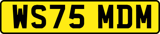 WS75MDM