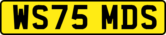 WS75MDS
