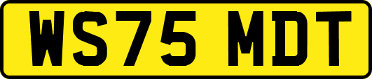 WS75MDT