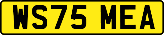 WS75MEA