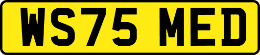WS75MED