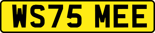 WS75MEE