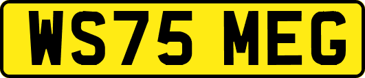 WS75MEG