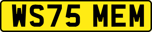 WS75MEM