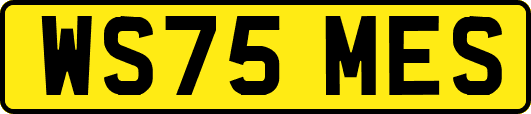 WS75MES