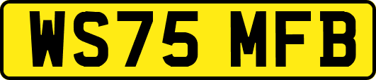 WS75MFB