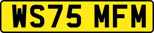 WS75MFM