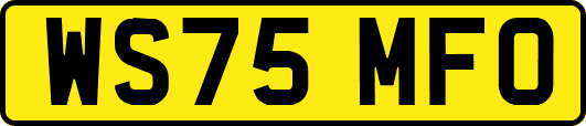 WS75MFO
