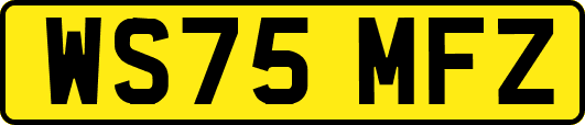 WS75MFZ