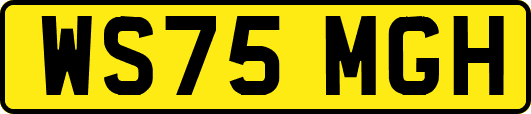 WS75MGH