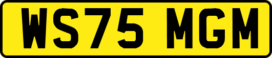WS75MGM