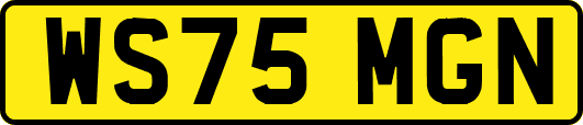 WS75MGN