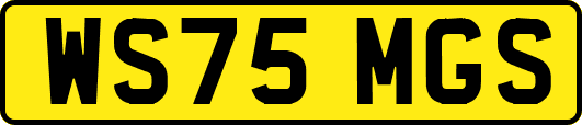 WS75MGS